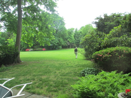 Enlarge photo 119