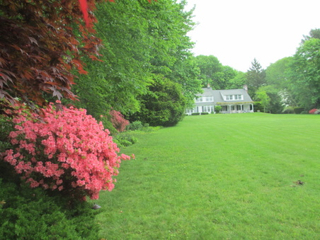 Enlarge photo 118