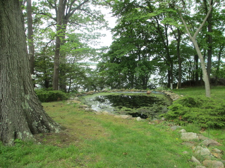 Enlarge photo 117