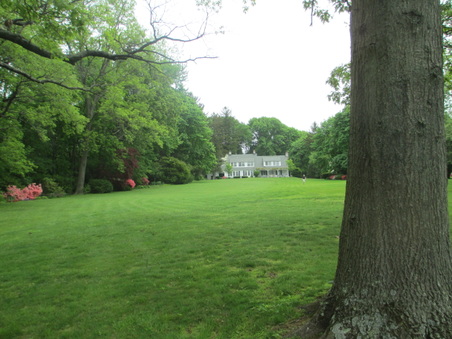 Enlarge photo 34