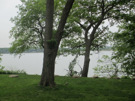 Enlarge photo 115