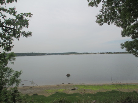 Enlarge photo 114