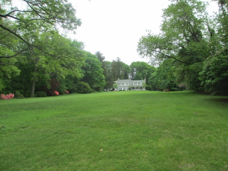 Enlarge photo 35