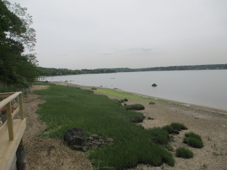 Enlarge photo 52