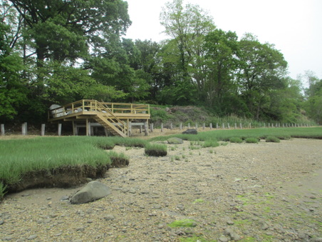Enlarge photo 48