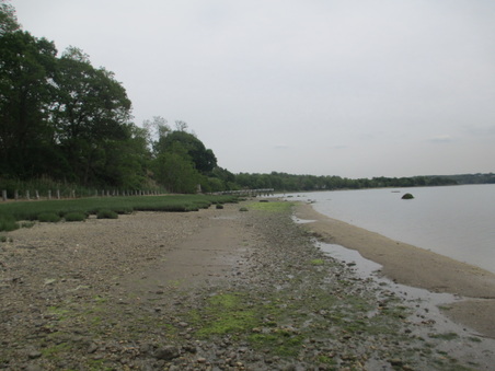Enlarge photo 49