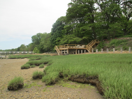 Enlarge photo 43