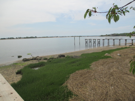 Enlarge photo 46