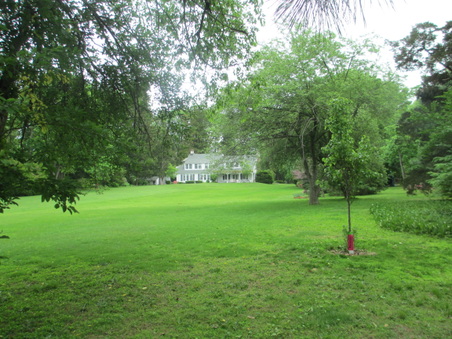 Enlarge photo 33