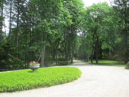 Enlarge photo 103