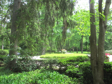 Enlarge photo 16