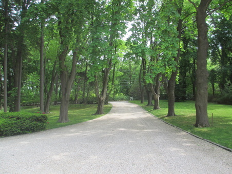 Enlarge photo 97