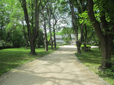 Enlarge photo 4