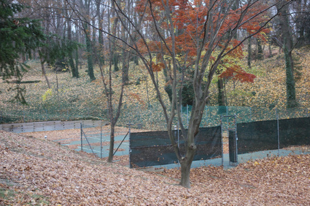 Enlarge photo 16