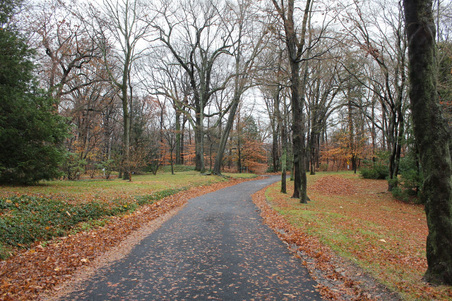 Enlarge photo 18