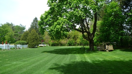 Enlarge photo 17