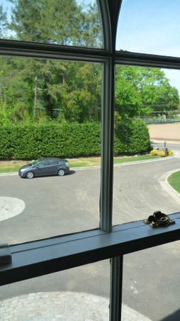 Enlarge photo 51
