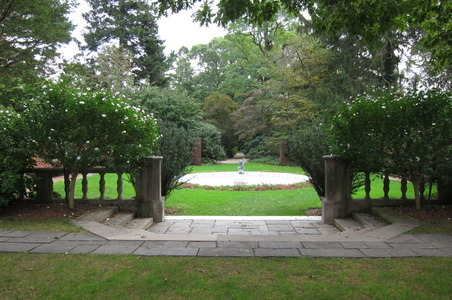Enlarge photo 159