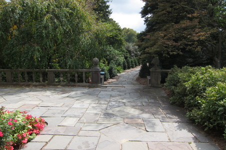 Enlarge photo 172