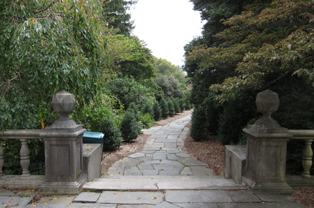 Enlarge photo 176