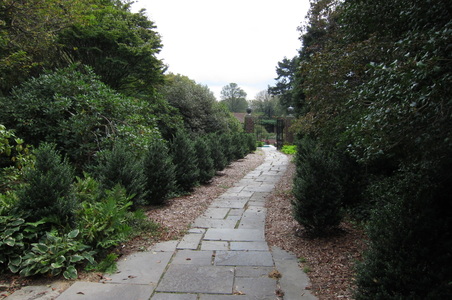 Enlarge photo 178