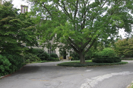 Enlarge photo 188