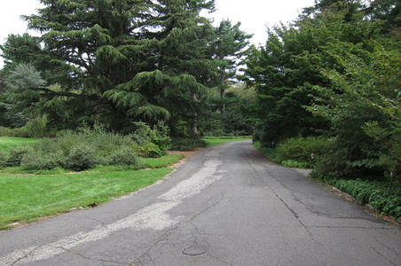 Enlarge photo 189