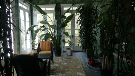 Enlarge photo 19