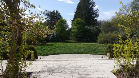Enlarge photo 37