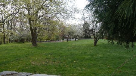 Enlarge photo 41