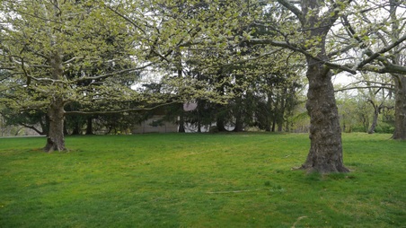 Enlarge photo 42