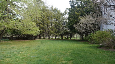 Enlarge photo 44