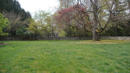 Enlarge photo 45