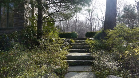Enlarge photo 8