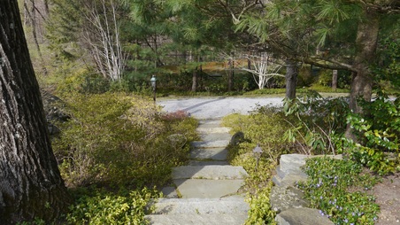 Enlarge photo 9