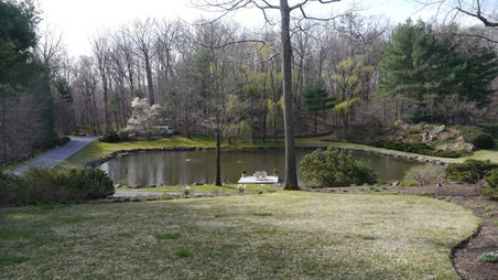Enlarge photo 10