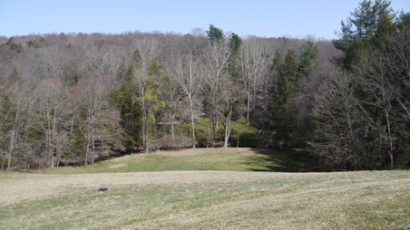 Enlarge photo 8