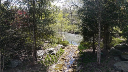 Enlarge photo 7