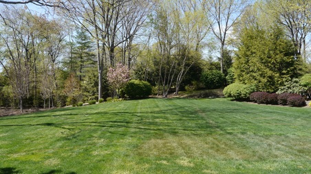 Enlarge photo 18