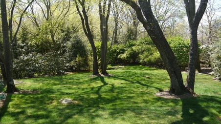 Enlarge photo 36