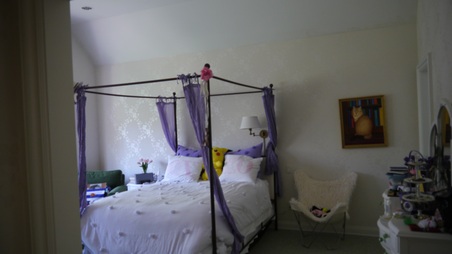 Enlarge photo 84