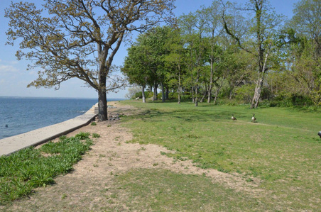 Enlarge photo 19