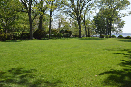 Enlarge photo 25