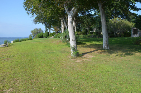 Enlarge photo 63
