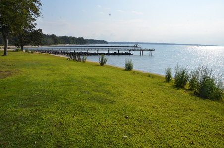 Enlarge photo 64