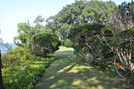 Enlarge photo 71