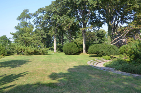 Enlarge photo 73