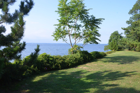 Enlarge photo 74