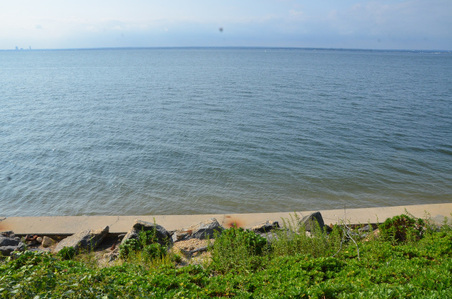 Enlarge photo 75
