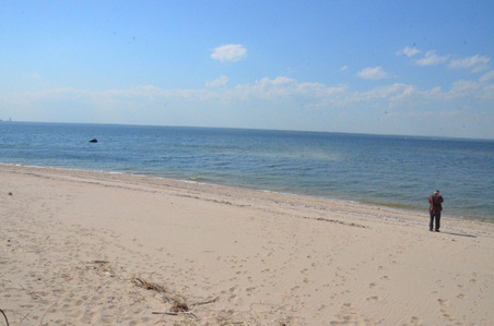 Enlarge photo 81